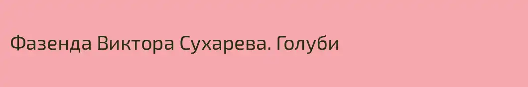 Фазенда Виктора Сухарева. Голуби